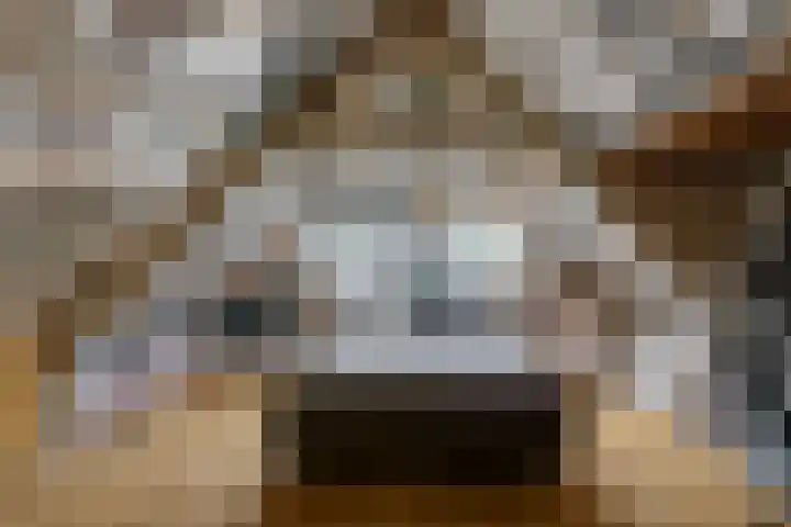 Lijsterbeslaan 113 Doetinchem thumbnail 54