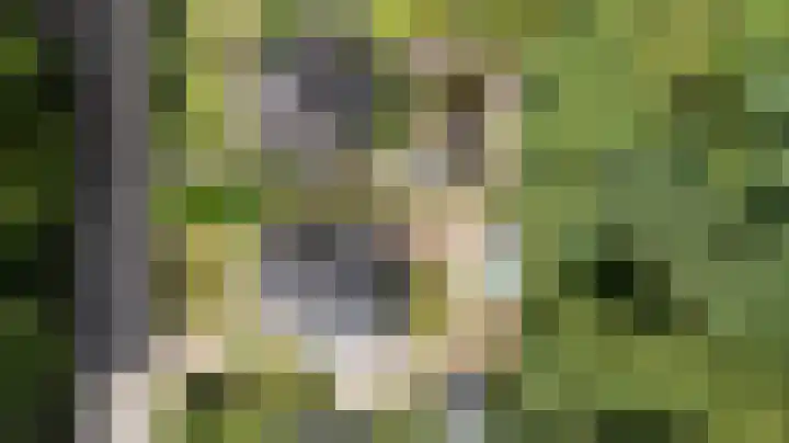 Lijsterbeslaan 113 Doetinchem thumbnail 55