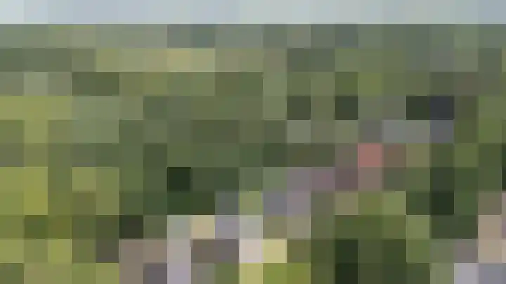 Lijsterbeslaan 113 Doetinchem thumbnail 56
