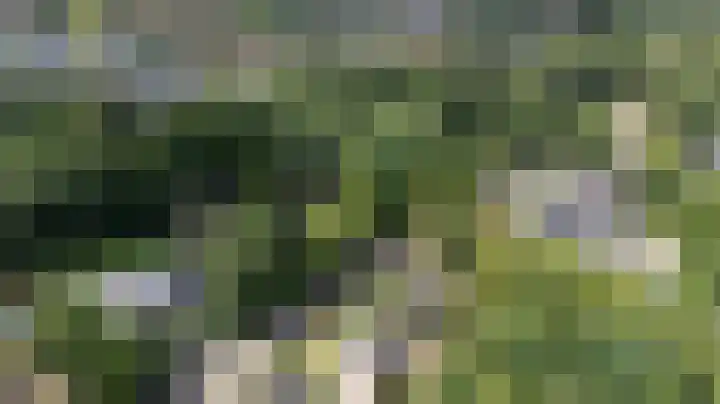 Lijsterbeslaan 113 Doetinchem thumbnail 57