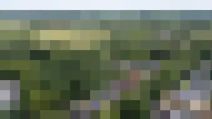 Lijsterbeslaan 113 Doetinchem thumbnail 58