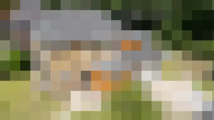 Lijsterbeslaan 113 Doetinchem thumbnail 59