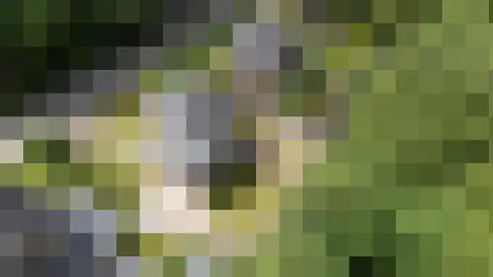 Lijsterbeslaan 113 Doetinchem thumbnail 6
