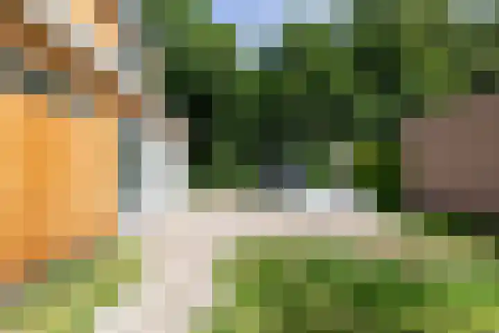Lijsterbeslaan 113 Doetinchem thumbnail 60