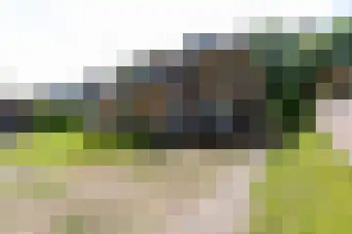 Lijsterbeslaan 113 Doetinchem thumbnail 66