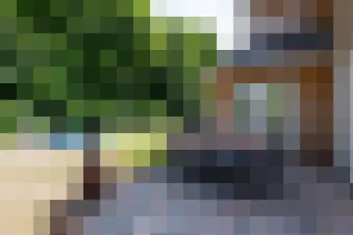 Lijsterbeslaan 113 Doetinchem thumbnail 67