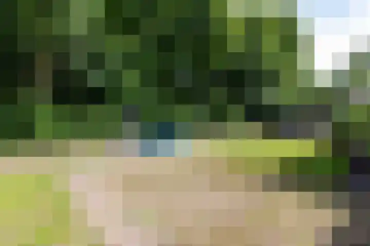 Lijsterbeslaan 113 Doetinchem thumbnail 68