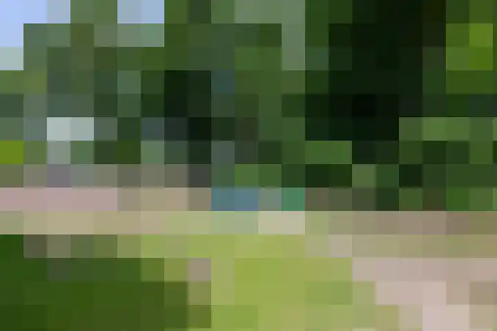 Lijsterbeslaan 113 Doetinchem thumbnail 69