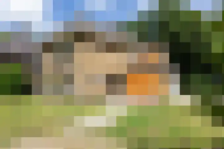 Lijsterbeslaan 113 Doetinchem thumbnail 7