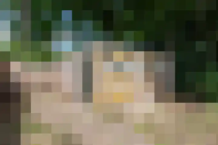 Lijsterbeslaan 113 Doetinchem thumbnail 70