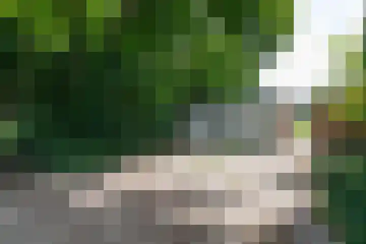 Lijsterbeslaan 113 Doetinchem thumbnail 71