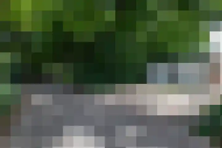 Lijsterbeslaan 113 Doetinchem thumbnail 72