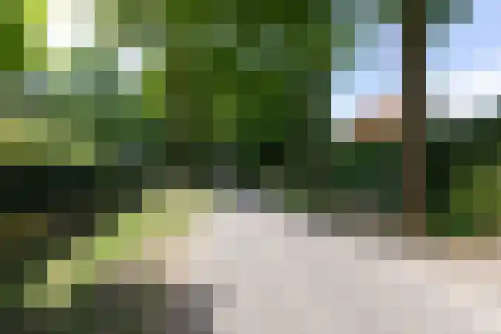 Lijsterbeslaan 113 Doetinchem thumbnail 73