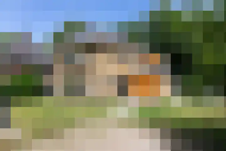 Lijsterbeslaan 113 Doetinchem thumbnail 74