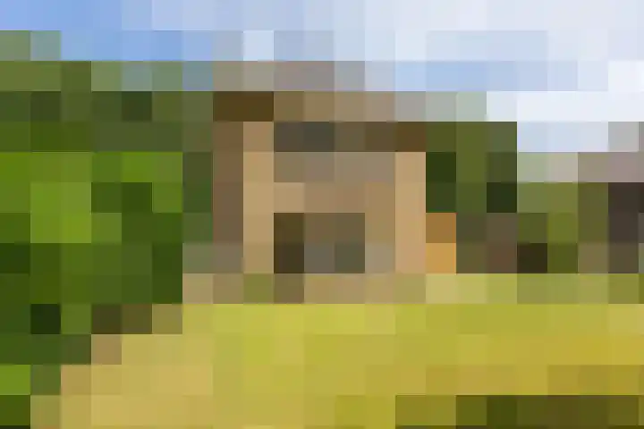 Lijsterbeslaan 113 Doetinchem thumbnail 77