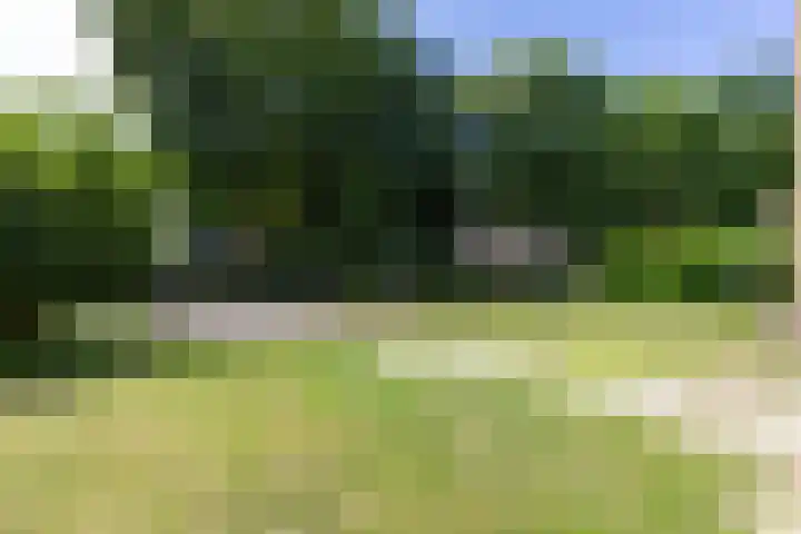 Lijsterbeslaan 113 Doetinchem thumbnail 78