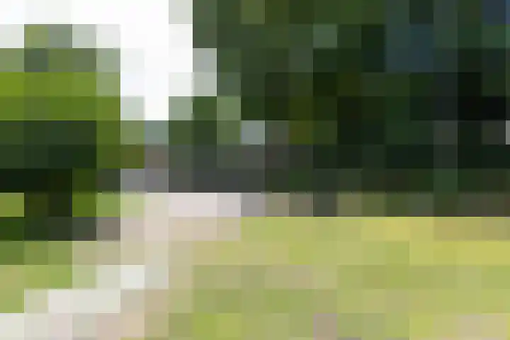 Lijsterbeslaan 113 Doetinchem thumbnail 79