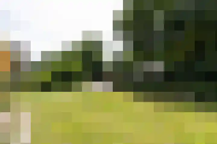 Lijsterbeslaan 113 Doetinchem thumbnail 80