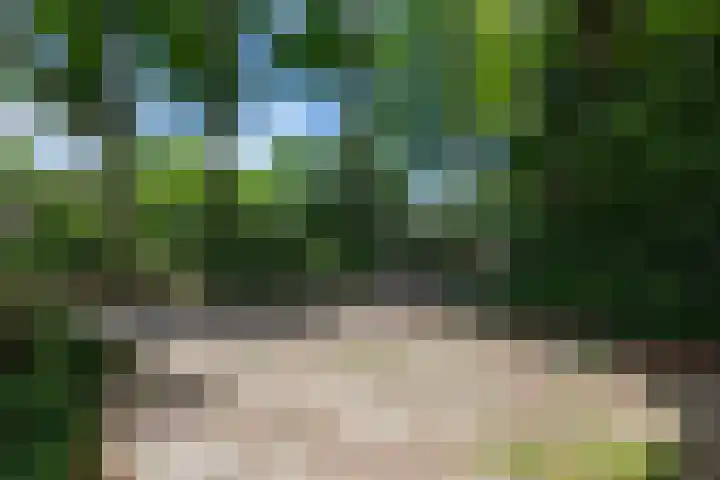 Lijsterbeslaan 113 Doetinchem thumbnail 81