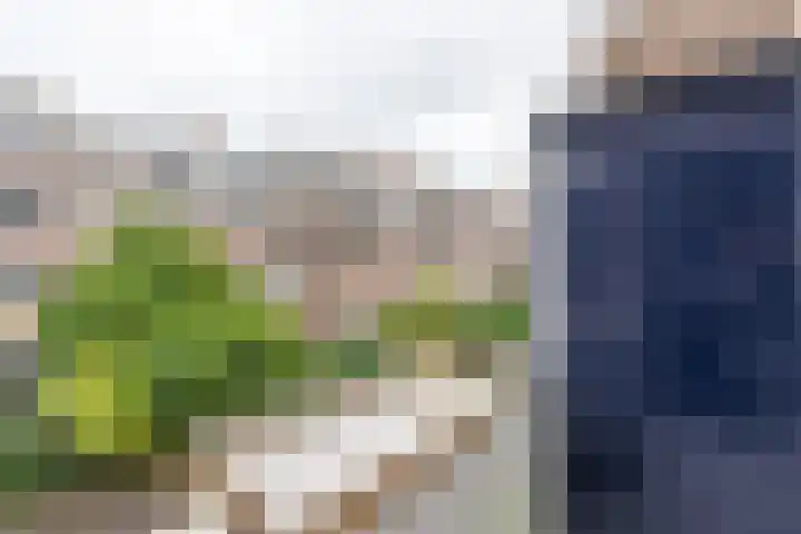 Lijsterbeslaan 117 Rijswijk thumbnail 22