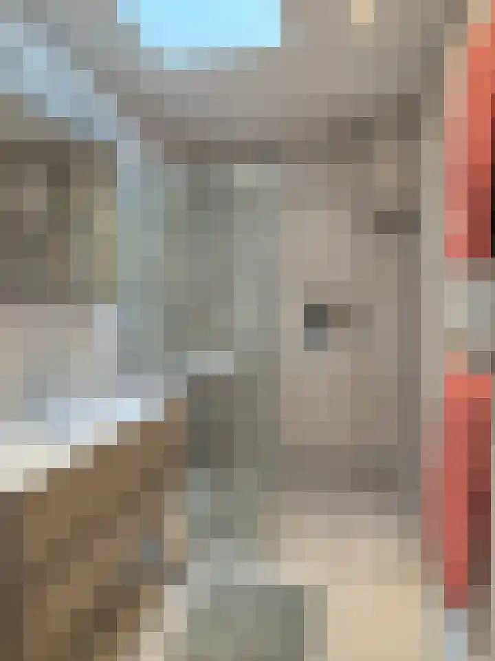 Lijsterbeslaan 117 Rijswijk thumbnail 33