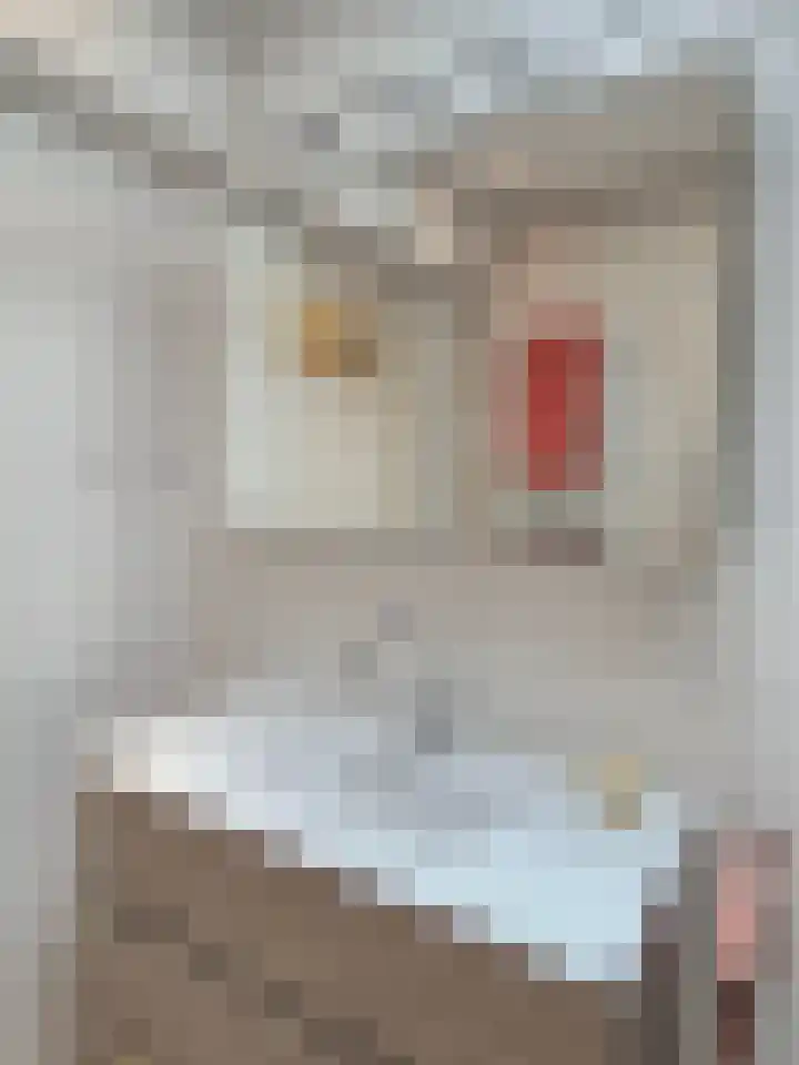 Lijsterbeslaan 117 Rijswijk thumbnail 34