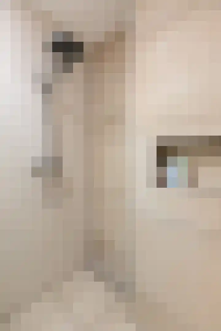 Lijsterbeslaan 117 Rijswijk thumbnail 35