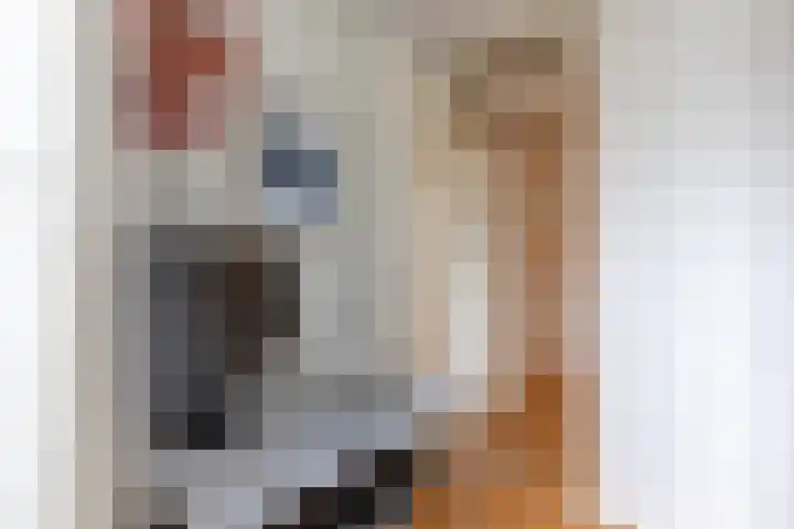 Lijsterbeslaan 117 Rijswijk thumbnail 40