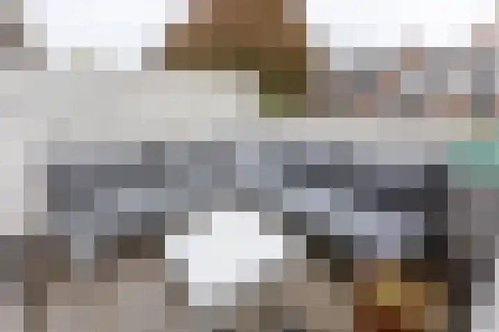 Lijsterbeslaan 117 Rijswijk thumbnail 41