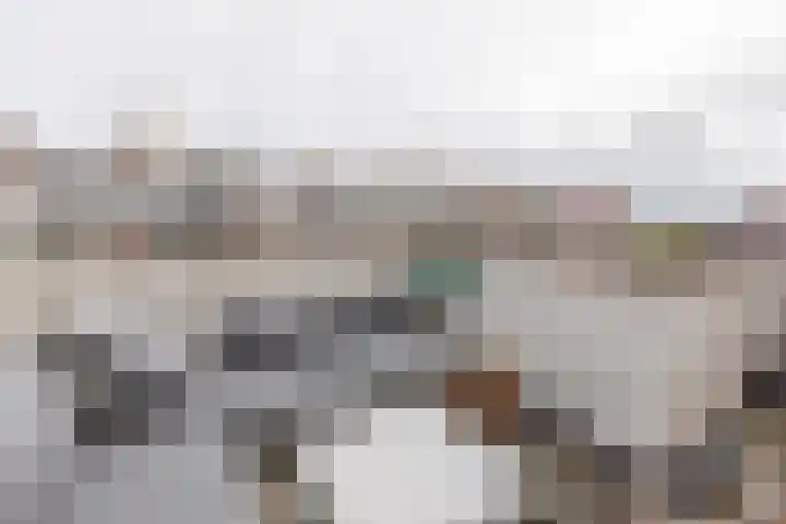 Lijsterbeslaan 117 Rijswijk thumbnail 42