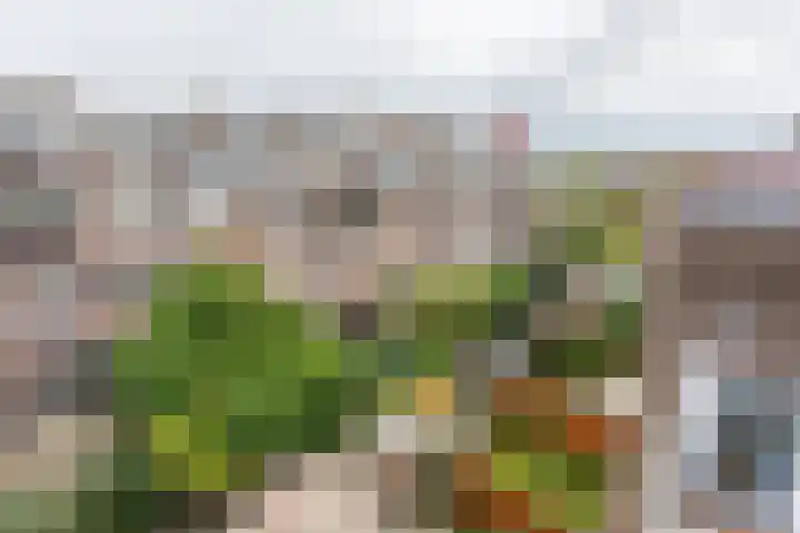 Lijsterbeslaan 117 Rijswijk thumbnail 43