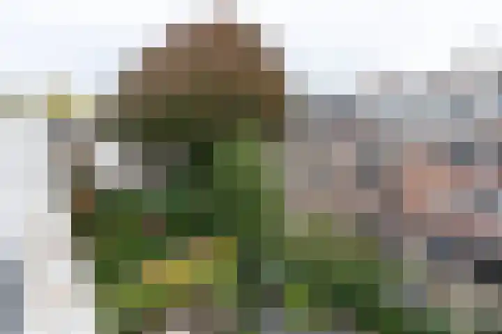 Lijsterbeslaan 117 Rijswijk thumbnail 44