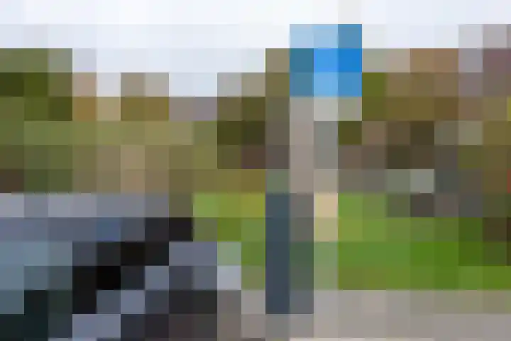 Lijsterbeslaan 117 Rijswijk thumbnail 46