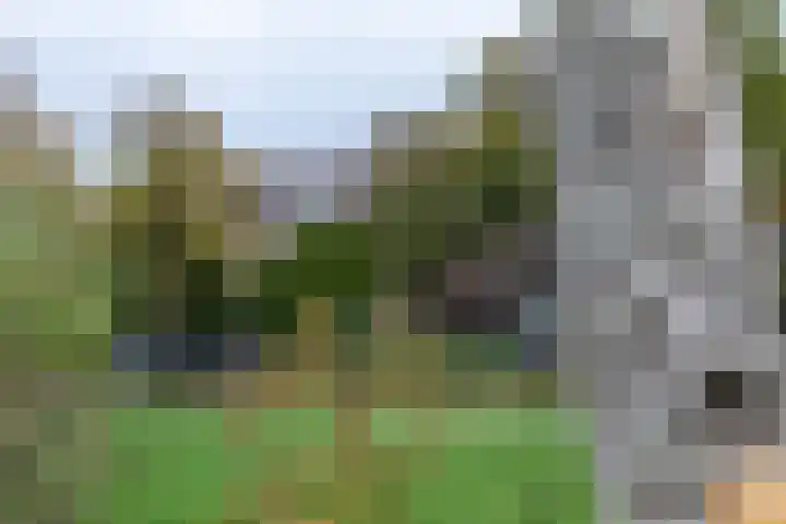 Lijsterbeslaan 117 Rijswijk thumbnail 48