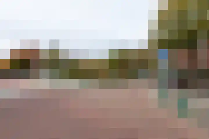 Lijsterbeslaan 117 Rijswijk thumbnail 49
