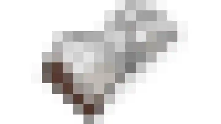 Lijsterbeslaan 117 Rijswijk thumbnail 54
