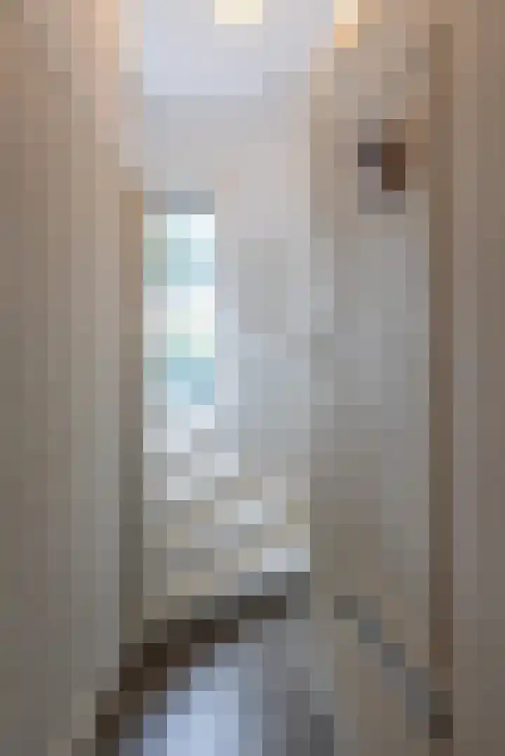 Lijsterbeslaan 117 Rijswijk thumbnail 8