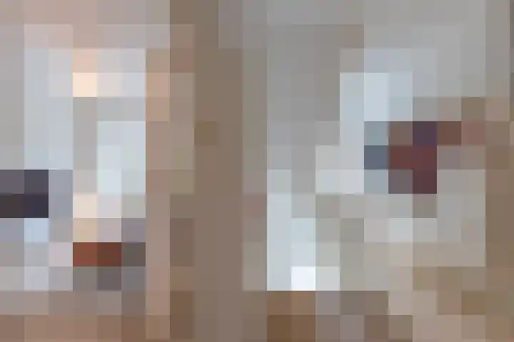 Lijsterbeslaan 117 Rijswijk thumbnail 9