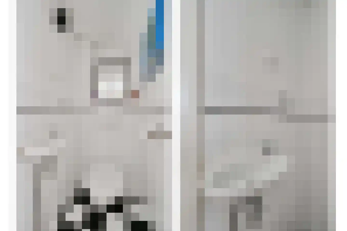 Lijsterbeslaan 119 Rijswijk thumbnail 10