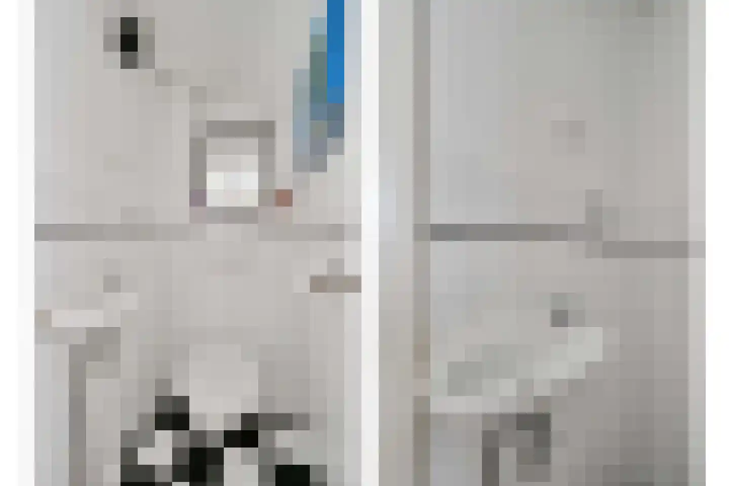 Lijsterbeslaan 119 Rijswijk thumbnail 11