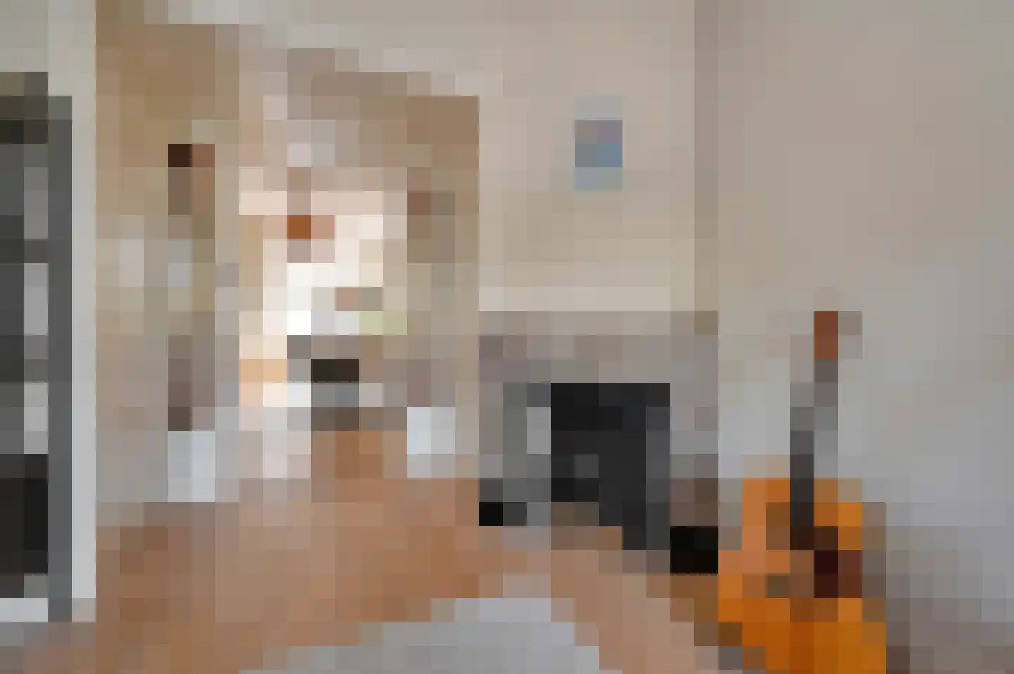 Lijsterbeslaan 119 Rijswijk thumbnail 15