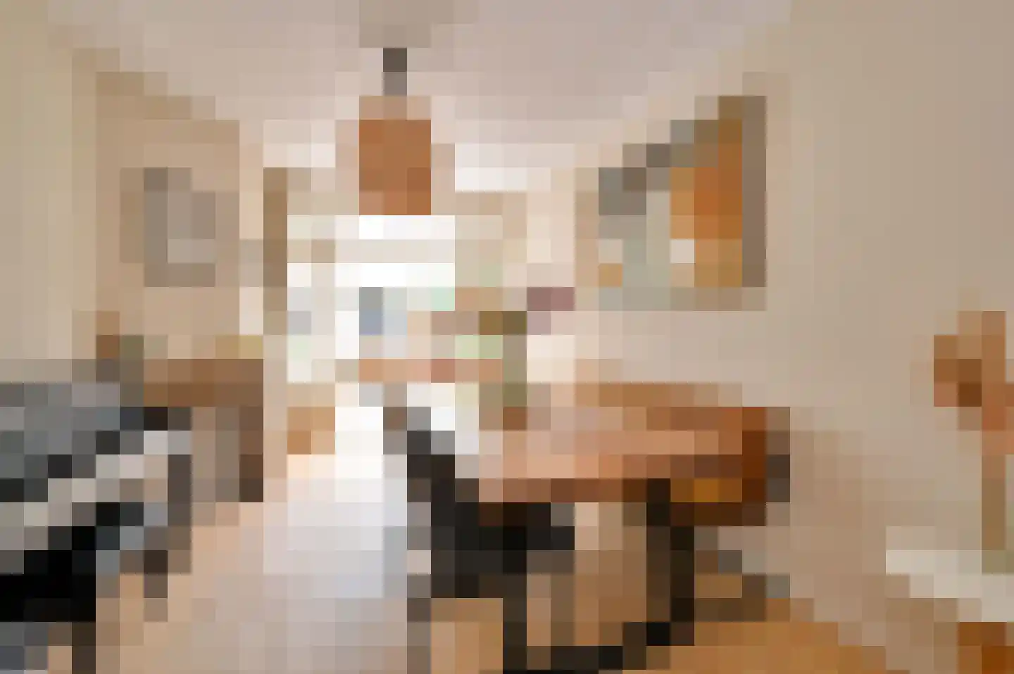 Lijsterbeslaan 119 Rijswijk thumbnail 18