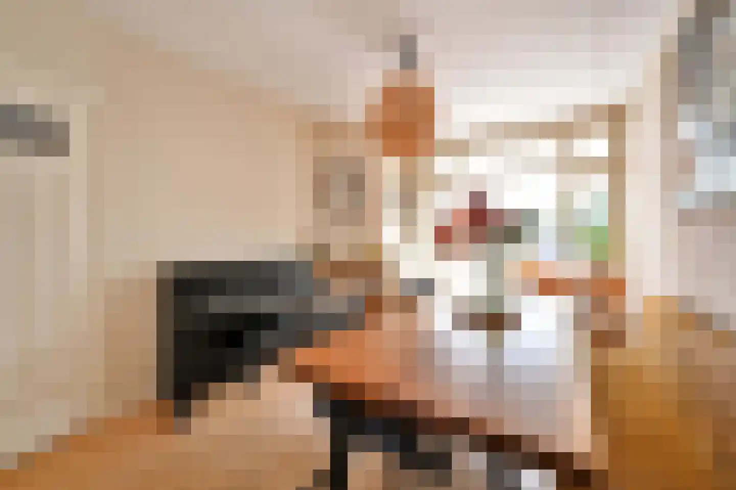 Lijsterbeslaan 119 Rijswijk thumbnail 19