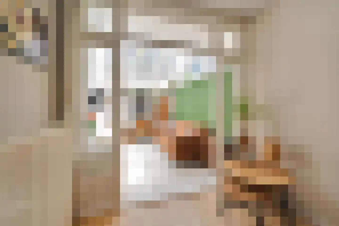 Lijsterbeslaan 119 Rijswijk thumbnail 20