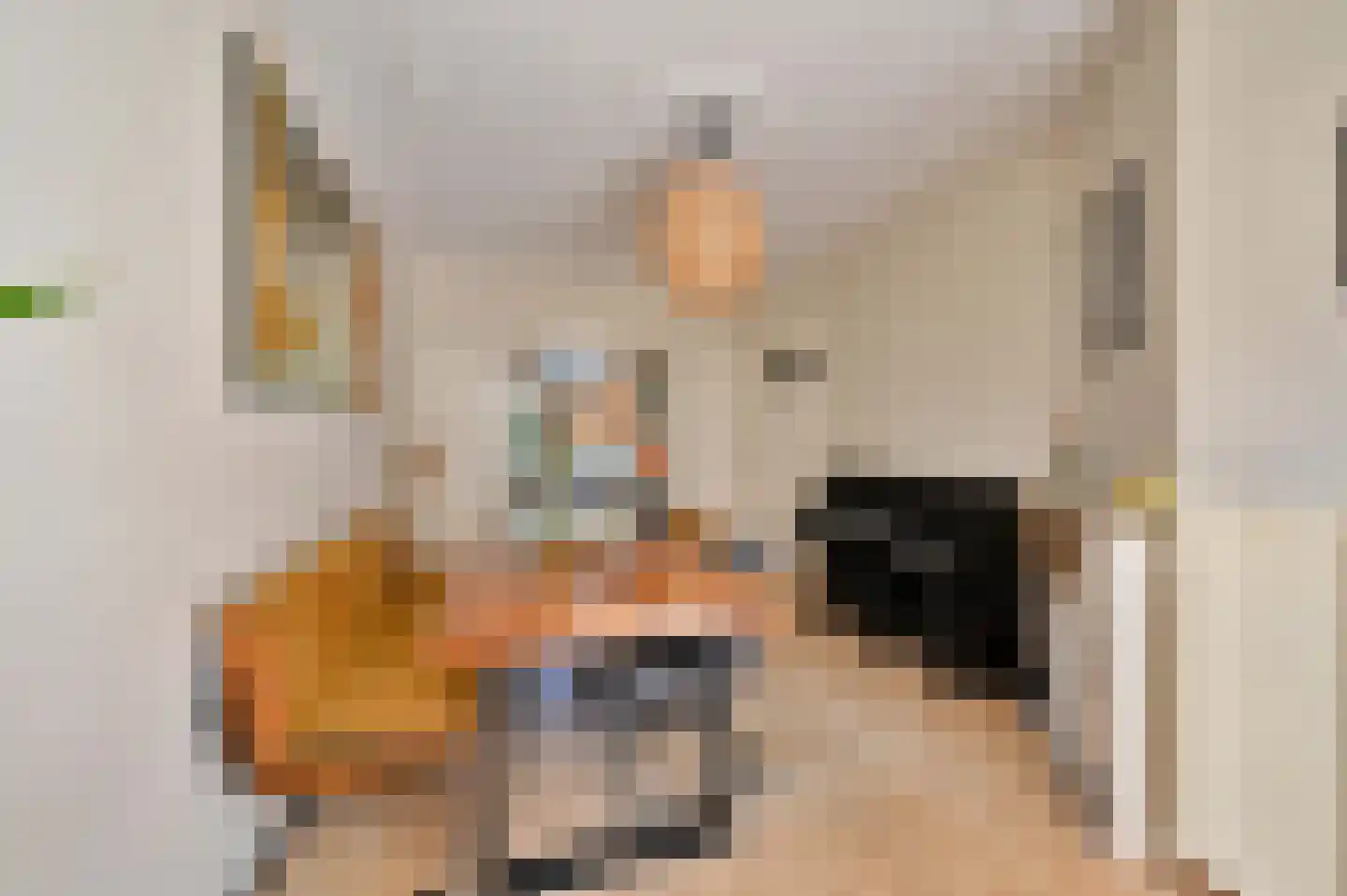 Lijsterbeslaan 119 Rijswijk thumbnail 20