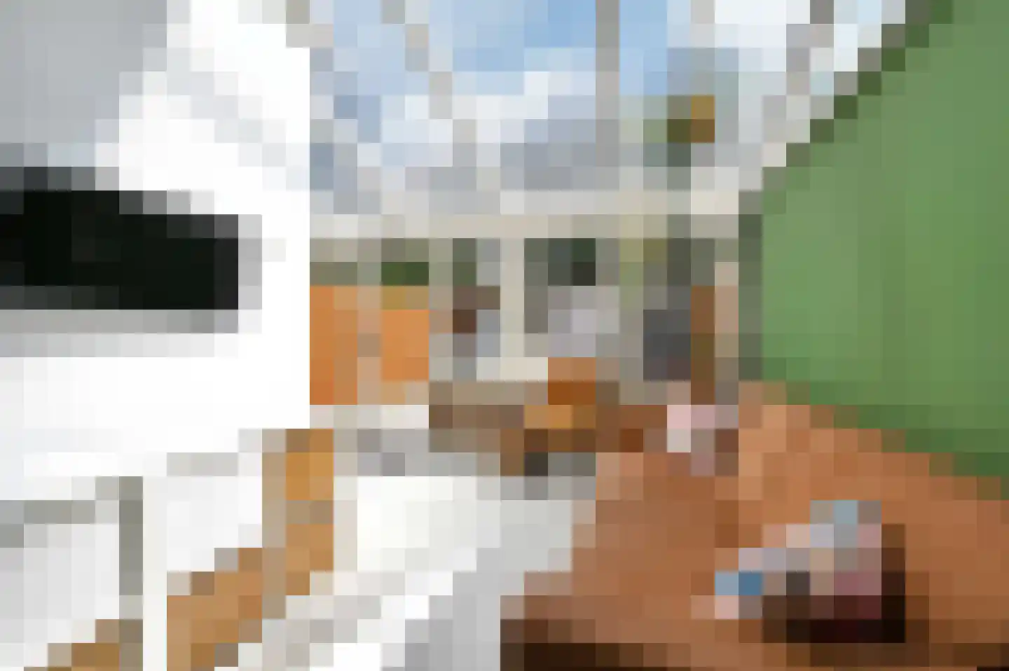 Lijsterbeslaan 119 Rijswijk thumbnail 22