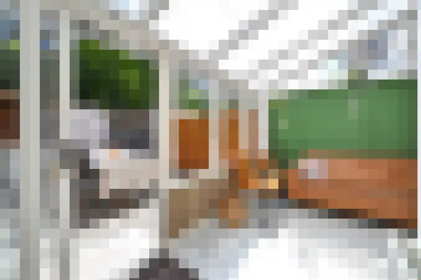 Lijsterbeslaan 119 Rijswijk thumbnail 22