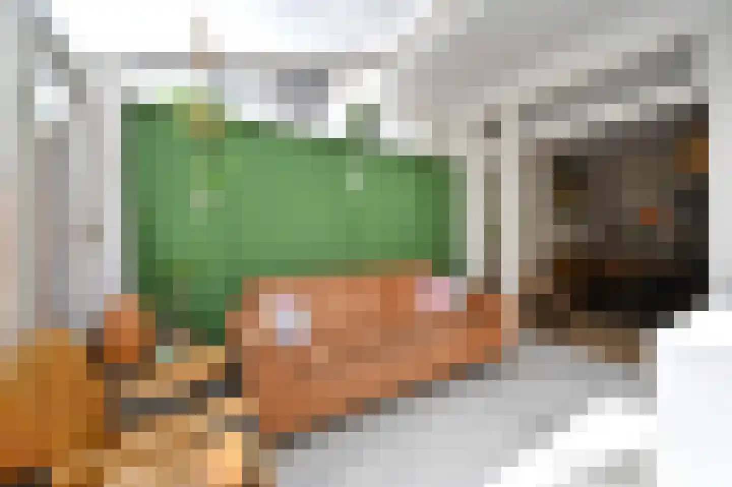Lijsterbeslaan 119 Rijswijk thumbnail 23
