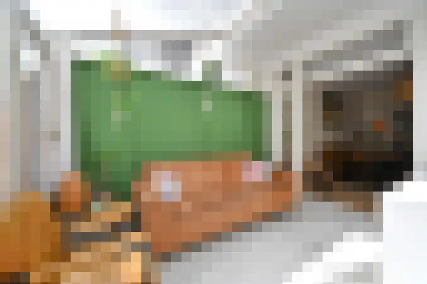 Lijsterbeslaan 119 Rijswijk thumbnail 24