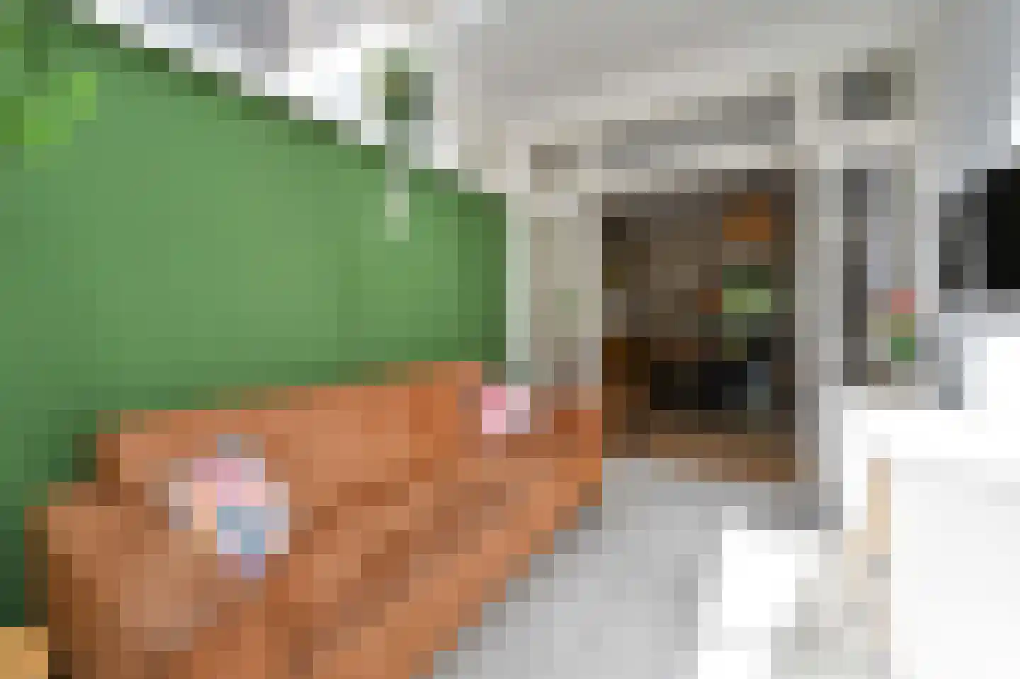Lijsterbeslaan 119 Rijswijk thumbnail 25